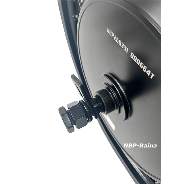 3/3.5T 4T 5T QS273 V3 V4 8KW 7 - Qs273 Hub Motor 8000W 72V recensione e prezzo